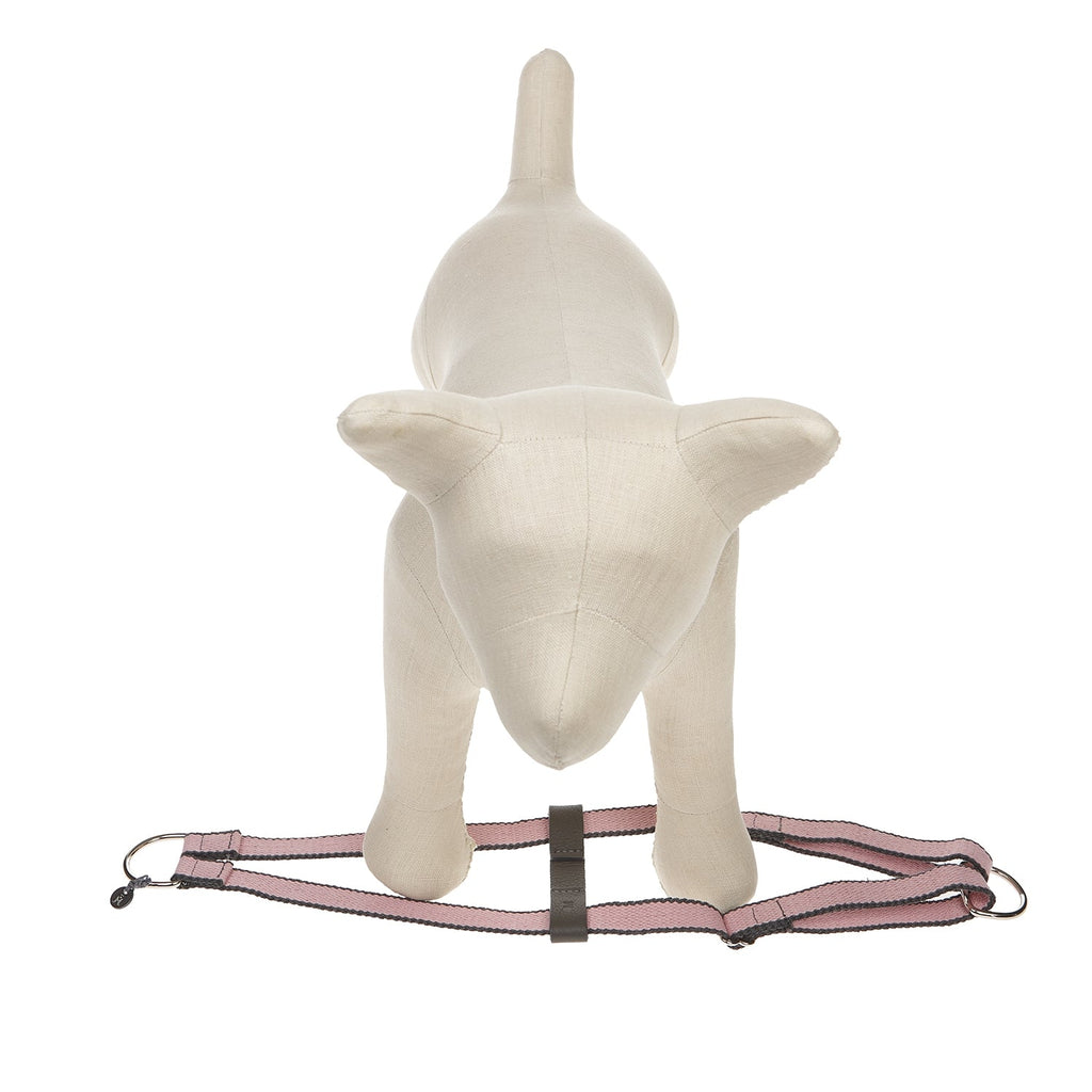 Ring Dog Harness Preppy