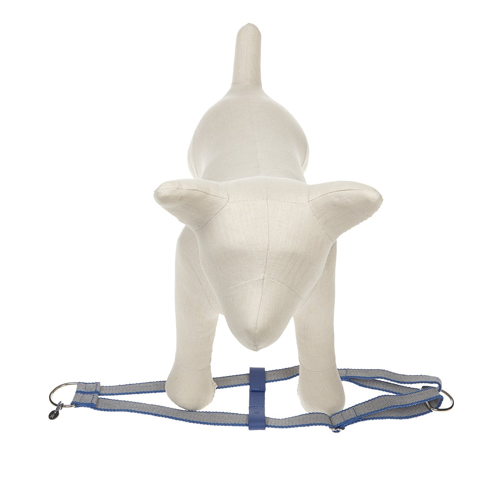 Ring Dog Harness Preppy