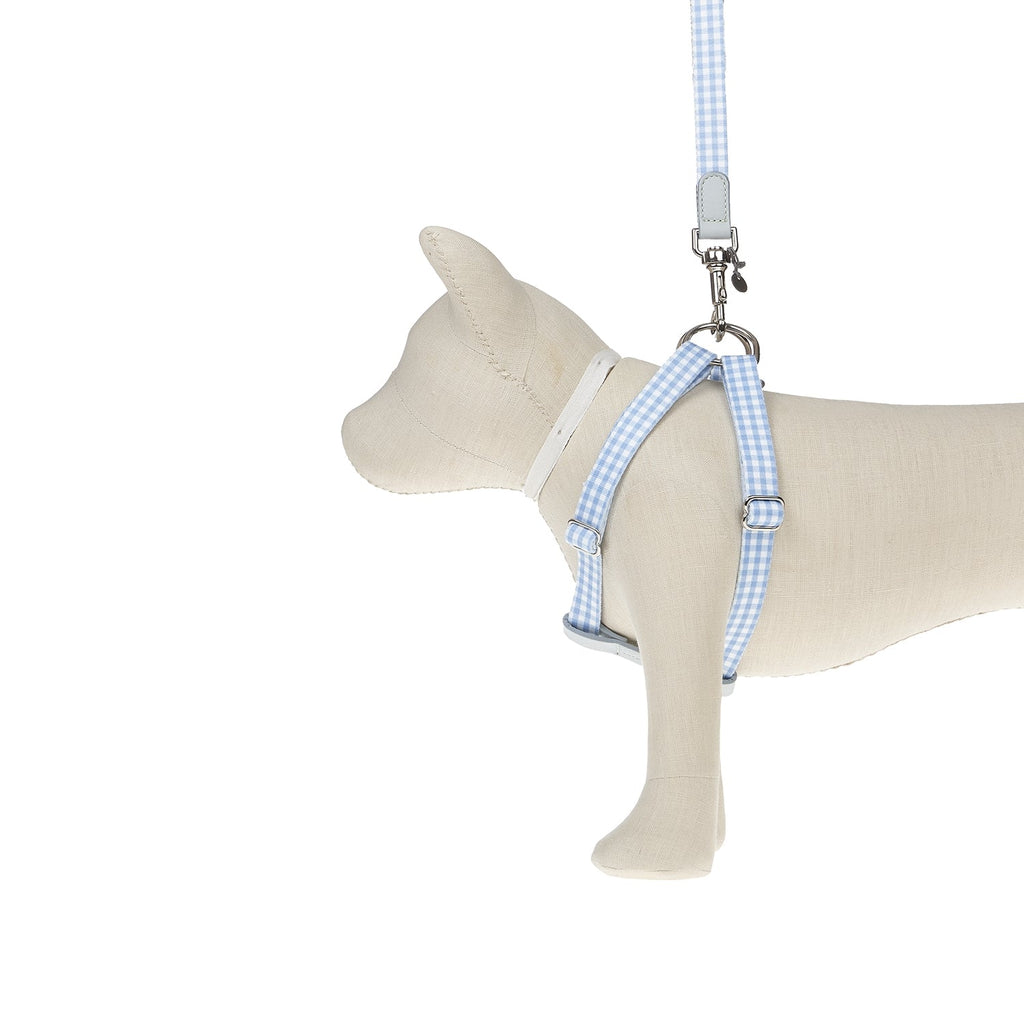 Ring Dog Harness Clara Check