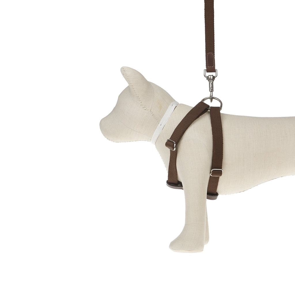 Ring Dog Harness