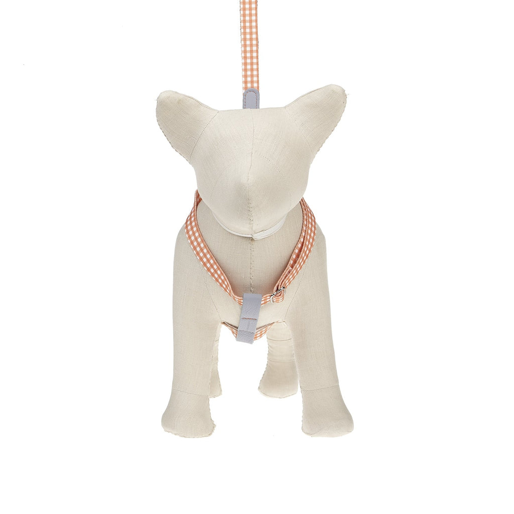 Ring Dog Harness Clara Check