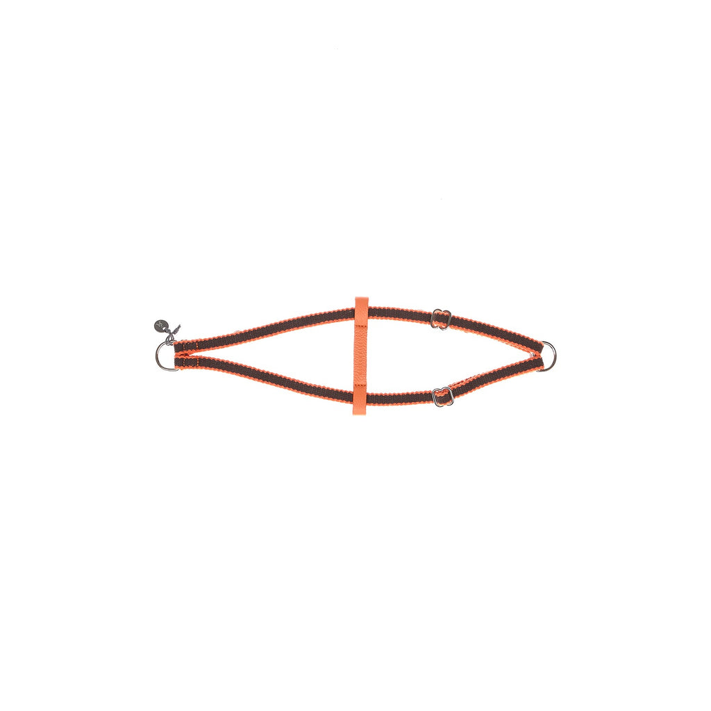 Ring Dog Harness Preppy