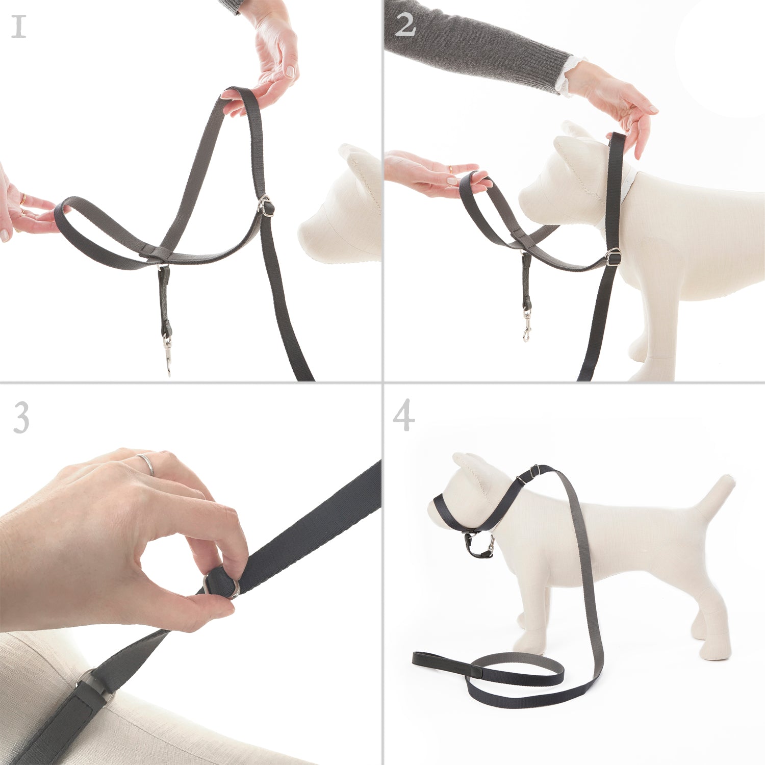 Follow My Lead - Head