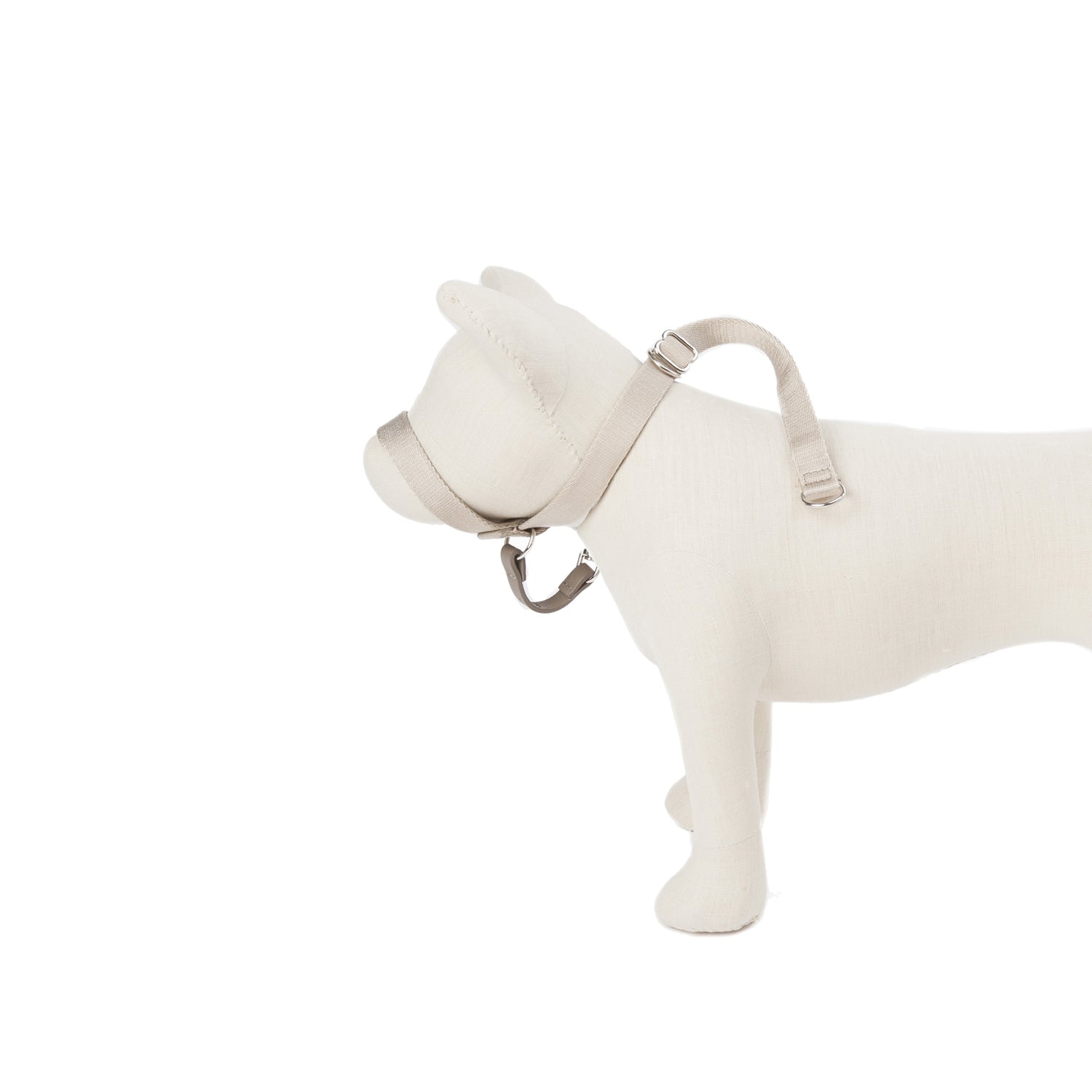 Follow My Lead - Head