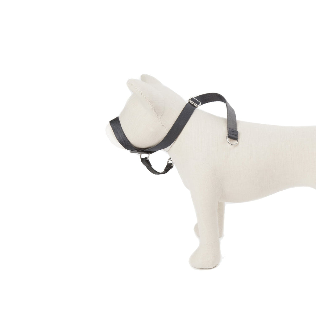 Follow My Lead - Head