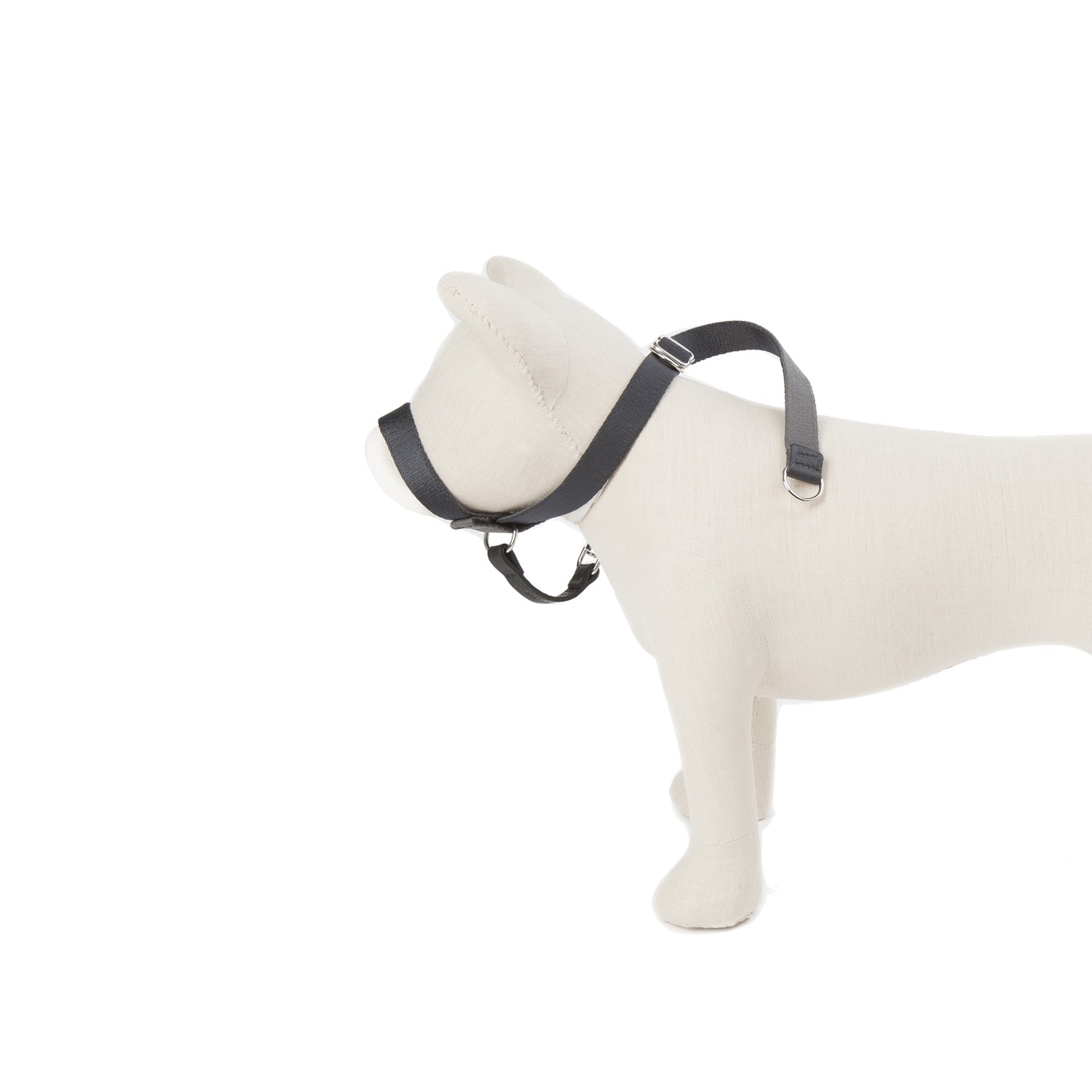 Follow My Lead - Head